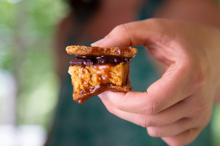 Guest Post: Salted Caramel S’mores {AIP + Paleo}